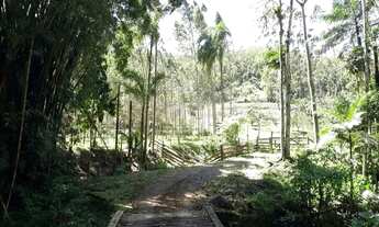 Imagem 3: Sítio à venda 2 quartos em Massaranduba bairro Primeiro Braço Do Norte R$ 580.000,01