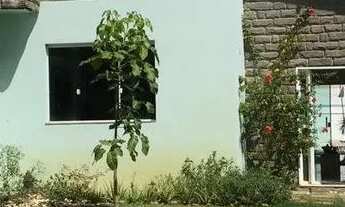 Imagem 7: CASA - 5 SUÍTES - JAGUARIBE