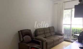 Imagem 2: São Paulo - Apartamento Padrão - Cambuci