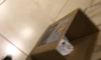 Imagem 4: APto. 02 quartos - Ed Chaplim Premium