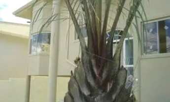 Imagem 2: Casa - Sousas - Campinas