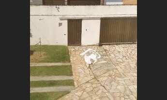 Imagem 7: Casa com 4 dormitórios à venda, 274 m² por R$ 680.000,00 - Coroa do Meio - Aracaju/SE