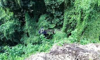 Imagem 4: Terreno no Cosme Velho