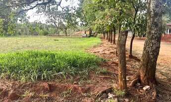 Imagem 4: VENDO CHÁCARA - ESTÂNCIA SÃO MANOEL