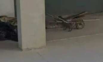 Imagem 6: Casa com 2 dormitórios, 139 m² - venda por R$ 900.000,00 ou aluguel por R$ 5.000,00/mês