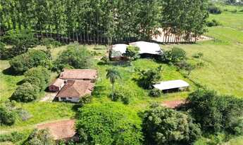 Imagem 14: SÍTIO 93.611 M2 R$6.000.000,00 BOM JARDIM - JAGUARIÚNA - SP