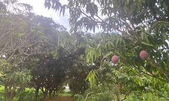 Imagem 5: Chácara 26.800 M²..Permuta apto ,Chácara Próximo da cidade..