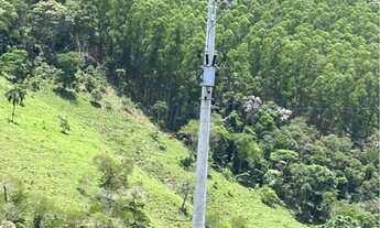 Imagem 2: Sítio com 12 ha sendo 6,5 de eucaliptos com 12 anos