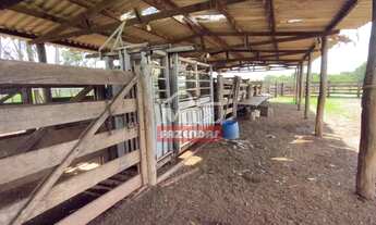 Imagem 6: Fazenda 32 alqueires (154,88 hectares) Iporá - Go