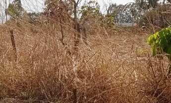 Imagem 7: CHACARA DAIA 2 BR 153