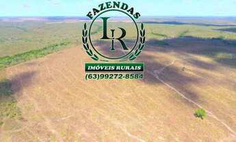 Imagem 2: Fazenda Tocantins 130 Alqueires Lavoura