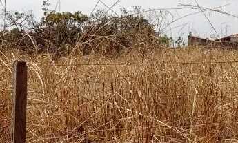 Imagem 6: CHACARA DAIA 2 BR 153