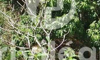 Imagem 3: Terreno à venda, Freguesia (Jacarepaguá) - RIO DE JANEIRO/RJ