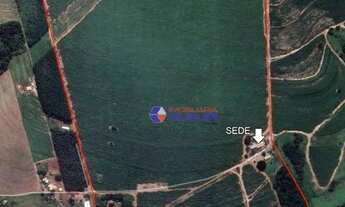 Imagem 3: Sítio com 6 dormitórios à venda, 587092 m² por R$ 5.800.000,00 - Zona Rural - Álvares Flor