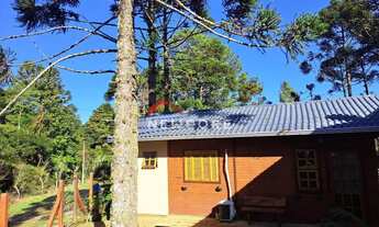 Imagem 4: Casa em Rua das paineiras - São Bernardo - São Francisco de Paula/RS