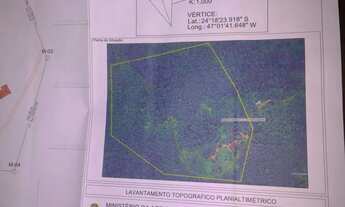 Imagem: Vendo sítio ou troco x casa em Ribeirão