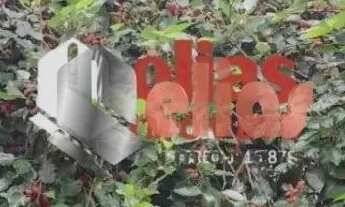 Imagem 6: Casa vende 3 dorm com suíte