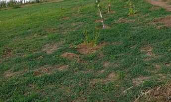 Imagem: Terreno de chácara nós pires de cima Limeira
