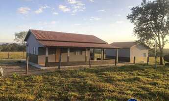 Imagem 3: Fazenda à venda entre Bom Jardim e Aragarças/GO 110,5 Alqueires