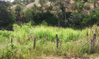 Imagem 6: Terreno de 9,7 alqueires