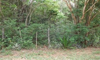 Imagem 6: Linda chácara de 20.000 m² próximo ao Rio,Jaboticatubas(Temos varias opções