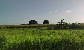 Imagem 3: R$2 milhões 100 hectares nas margens da Pa há 58 km de Castanhal