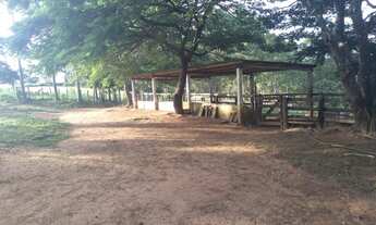 Imagem 5: Fazenda Oliveira minas gerai