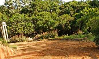 Imagem 6: Josely Premium, é seu novo endereço!!