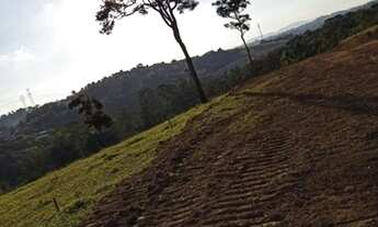 Imagem 4: Josely Premium, é seu novo endereço!!