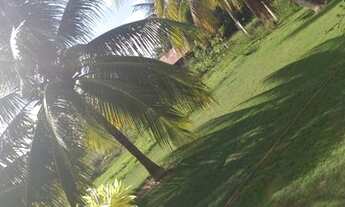 Imagem 3: Japaratinga para carnaval