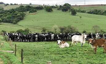 Imagem 2: Fazenda Linda a Venda