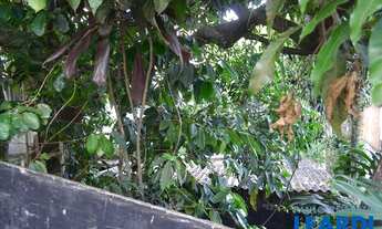 Imagem: TERRENO - MORUMBI - SP