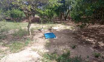 Imagem 6: Chácara a Venda no bairro Rural - Bofete, SP