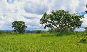 Imagem 3: Oportunidade. Terrenos de 20.000m² com Lagoa no Quintal por 40.475 + Parcelas
