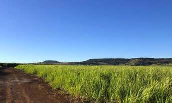 Imagem 3: Fazenda 96 Alqueires, Região de Botucatu-Sp