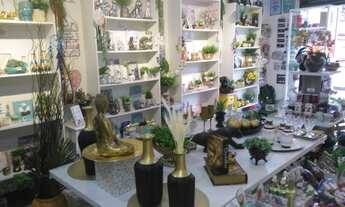 Imagem 2: Loja de Presentes e Decoração à Venda em Curitiba no Bairro Água Verde Cod PT0870/N