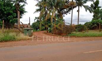 Imagem 2: área - Betel - Paulínia