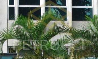 Imagem 3: Prédio - Real Parque - Campinas