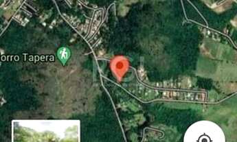 Imagem 3: Area em Campo Novo