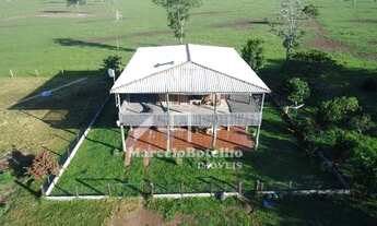 Imagem: Fazenda á venda em Paranatinga MT