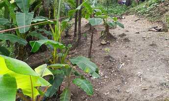 Imagem 5: VENDO ESSA CASA Casa com 1 dormitório