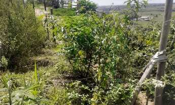 Imagem 2: Vendo lotes 11×25 Escriturado por R$30.000,00