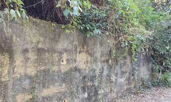 Imagem 7: Otimo terreno aos pés da Serra da Cantareira!