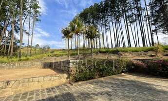 Imagem 1: Sítio - Champirra - Jundiaí