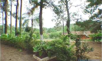 Imagem 5: SÍTIO - LOTEAMENTO LOANDA - SP