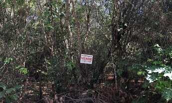 Imagem 6: Terreno ótimo preço na Praia de Pipa