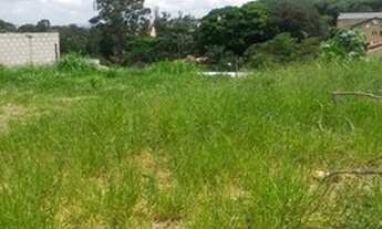 Imagem 4: TERRENO - JARDIM NOVO HORIZONTE - SP