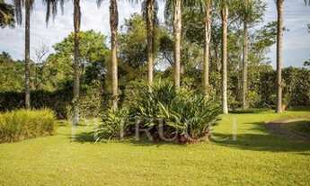 Imagem: Sítio - Centro - Tuiuti