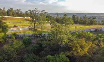 Imagem 4: Sítio - Santa Cândida - Vinhedo