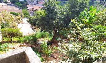 Imagem 5: Aluguel Quarto Caiçara